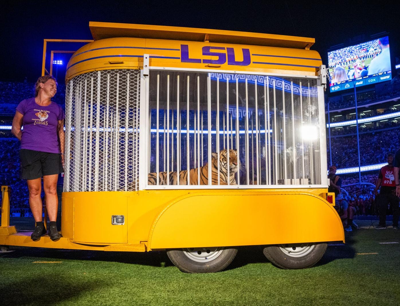 Photos: Omar the Tiger at Tiger Stadium for LSU's game against Bama |  Multimedia | nola.com