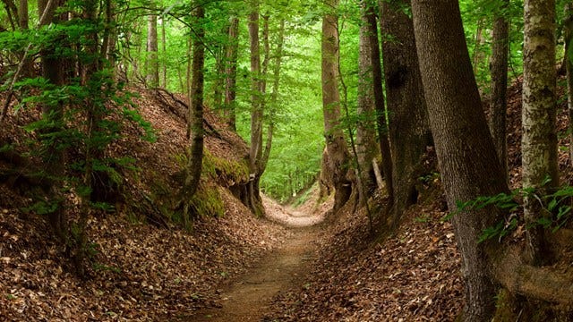 Natchez Trace National Scenic Trail (U.S. National Park Service)