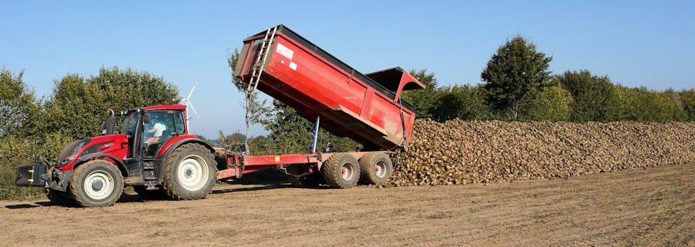 Red tractor unloading harvested crops into a large pile. Red tractor unloading harvested crops into a large pile.