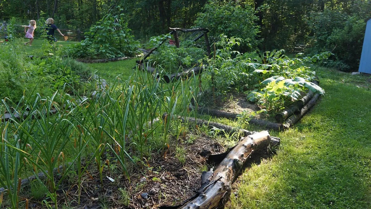 Planning Your Homestead Garden