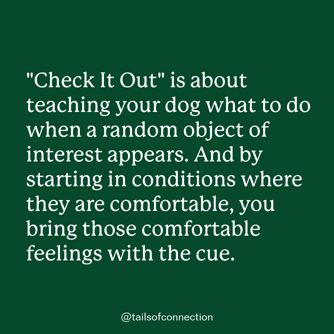 White text on green background that says: "Check It Out" is about teaching your dog what to do when a random object of interest appears. And by starting in conditions where they are comfortable, you bring those comfortable feelings with the cue.