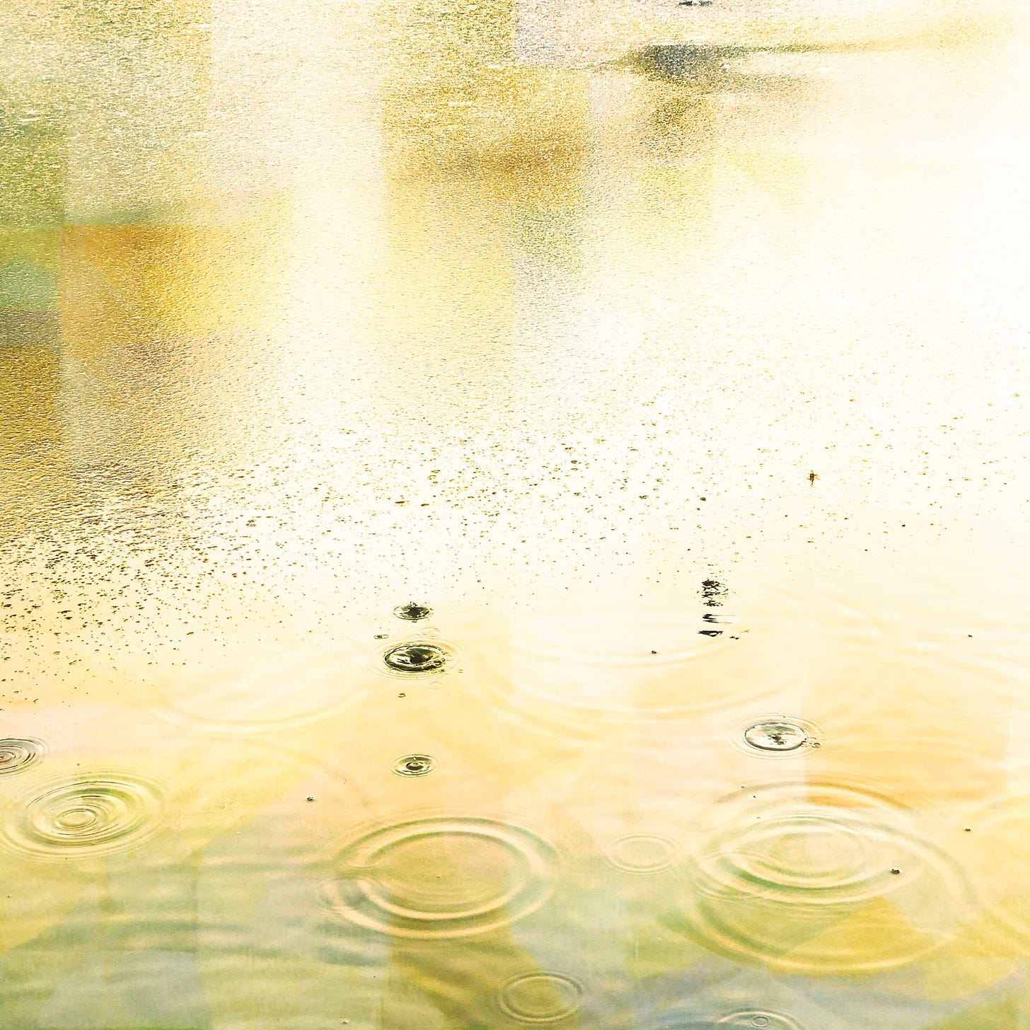 20201231-1146_04 Abney Hall Park.jpg