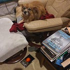 new writing: the parable of the dishonest steward