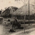 The 500 year evolution of the Vietnamese house