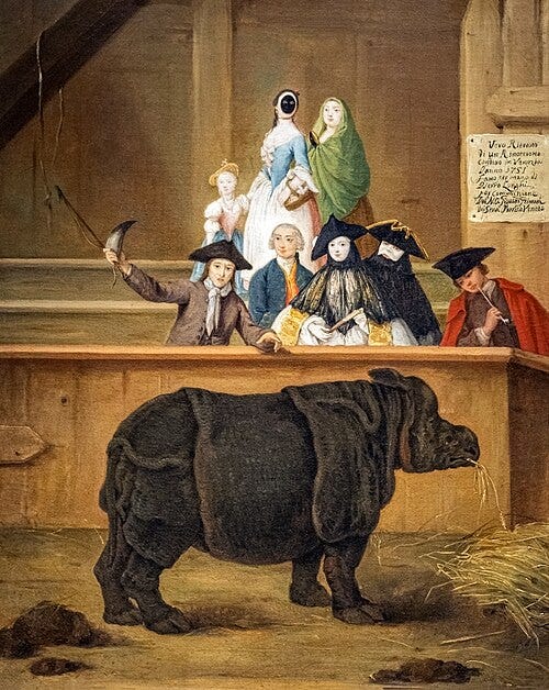 File:Ca' Rezzonico - Il rinoceronte 1751 - Pietro Longhi .jpg
