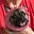 Susan Fleming's avatar