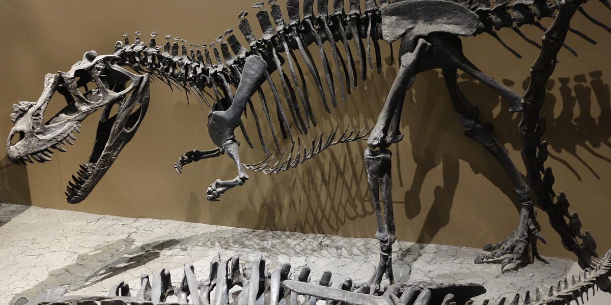 Steve Brusatte Dinosaurs 
Dinosaurs
英語版 51v3049oFDL._UF350,350_QL50_.jpg