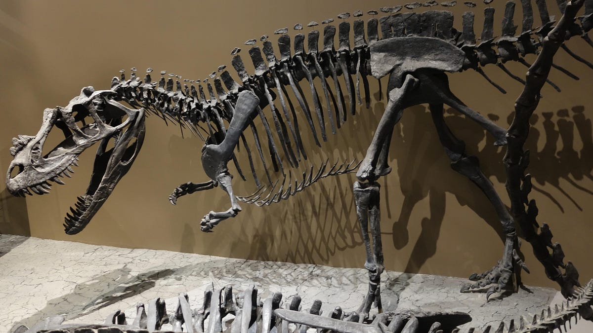Numlock Sunday: Steve Brusatte on dinosaurs auctions and what they