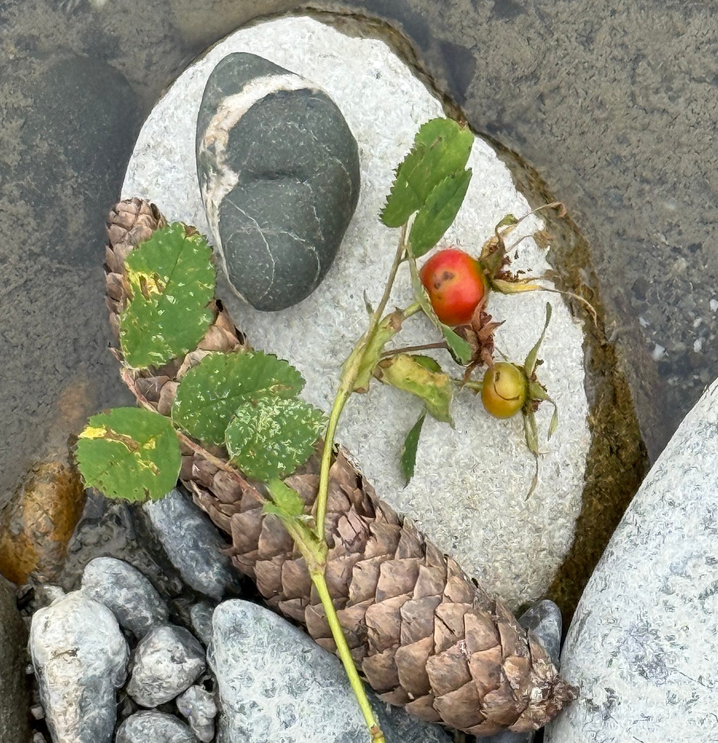 Offering at the river. Photo by JPC.