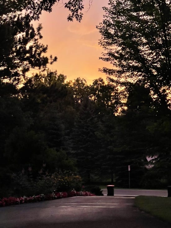 A sunset over a park

AI-generated content may be incorrect.