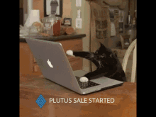 a cat is playing with an apple laptop with the words plutus sale started above it a cat is playing with an apple laptop with the words plutus sale started above it