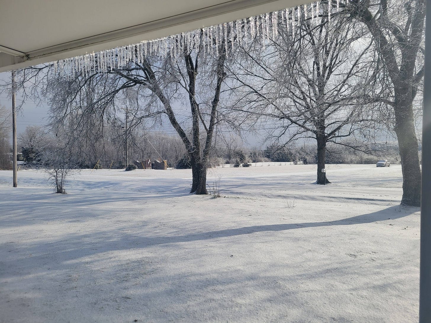 May be an image of tree May be an image of tree