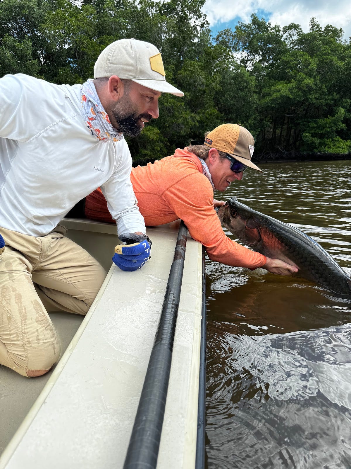 Jerry watches as Josh carefully handling a large tarpon in the water against a backdrop of lush mangroves, highlighting teamwork and the rewards of persistence.