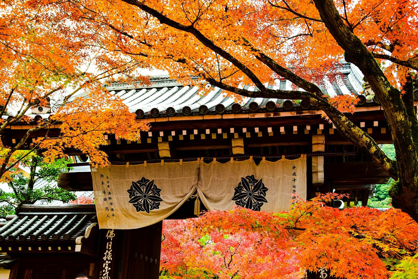 Shojin Ryori: a journey through traditional Japanese Buddhist cuisine