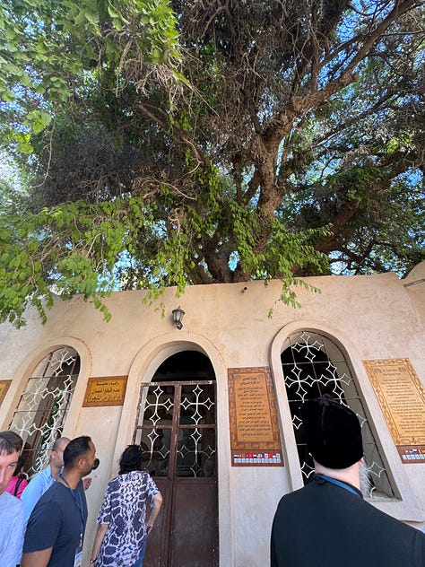 photos from inside monsters in Egypt