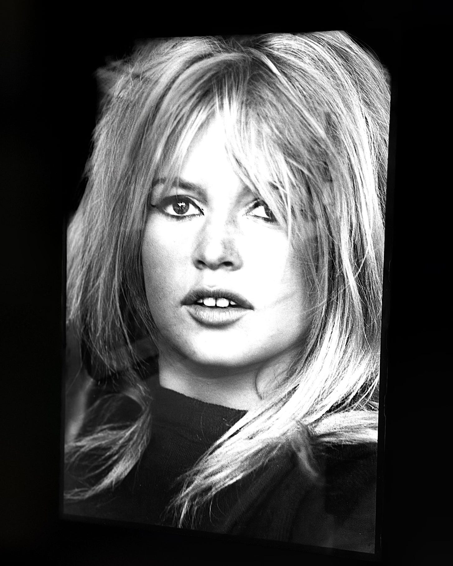 Brigitte Bardot 