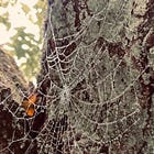 A Note To October