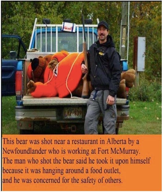http://themacrotourist.com/images/Azure/AWBearJul0814.png