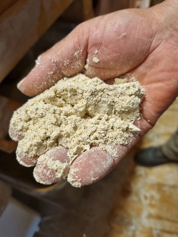 Milling flour from whole grains, Aston's Bakery