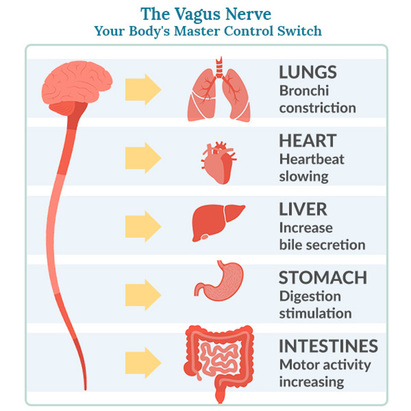 Article content Article content