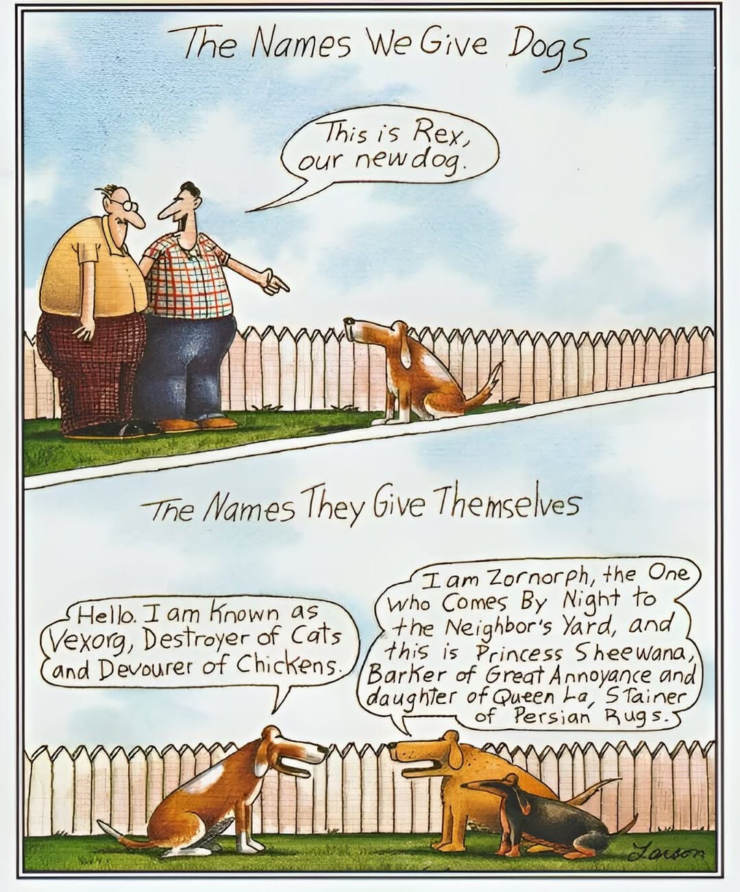 No photo description available.