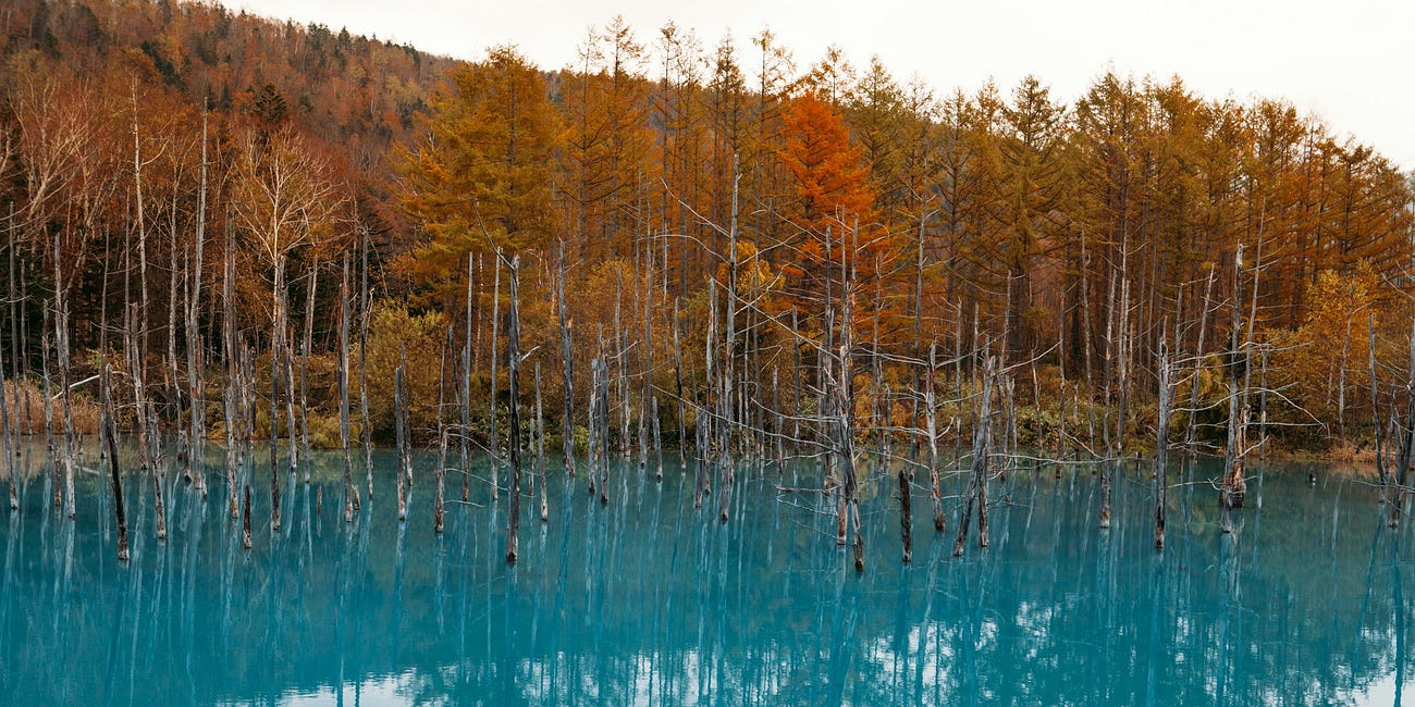 God Will Provide an Escape