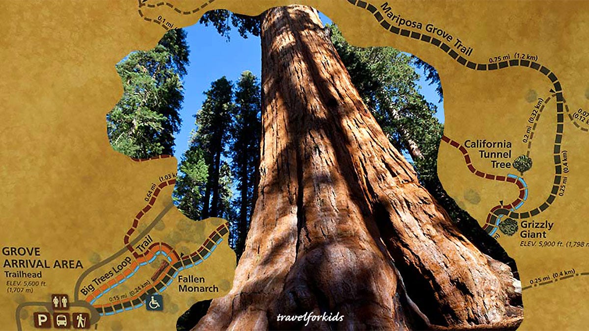 Yosemite in September and Not for Sale