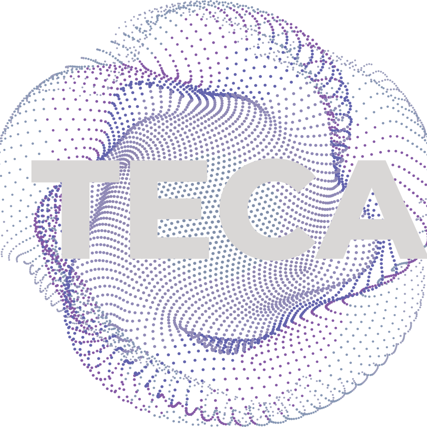 Substack profile picture for @teca