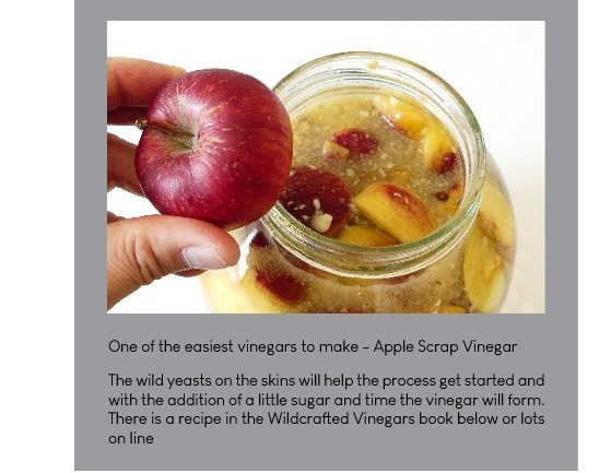 apple scrap vinegar
