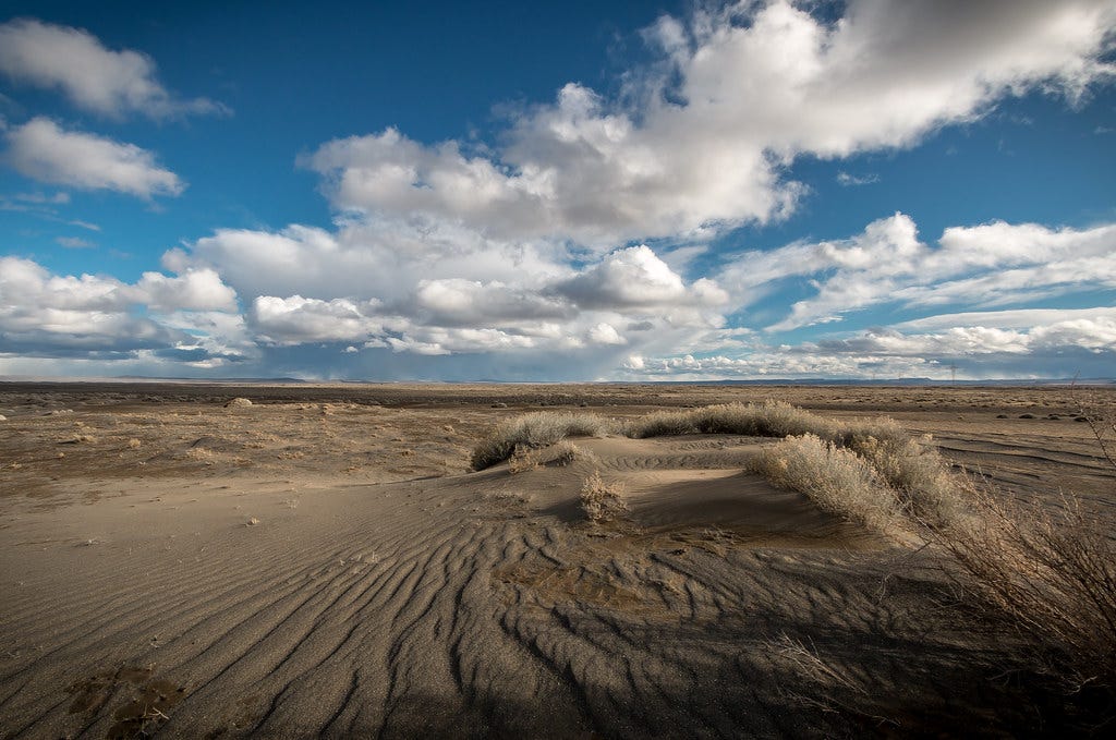 Fossil Lake