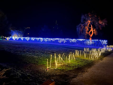 Images of holiday lights at Filoli