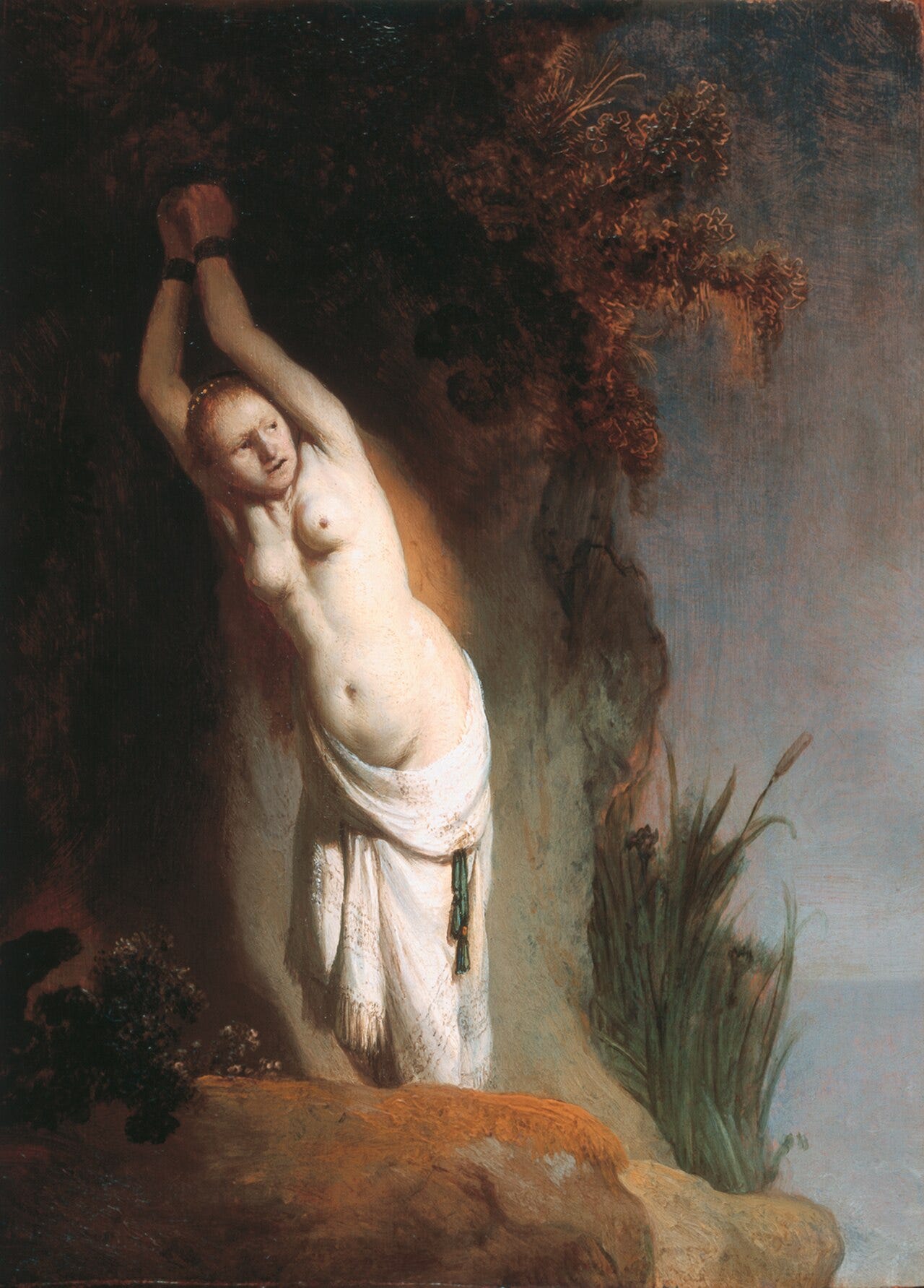 Rembrandt's Andromeda chained and terrified, with no Perseus or monster in the frame Rembrandt's Andromeda chained and terrified, with no Perseus or monster in the frame