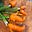 PlantLady's avatar