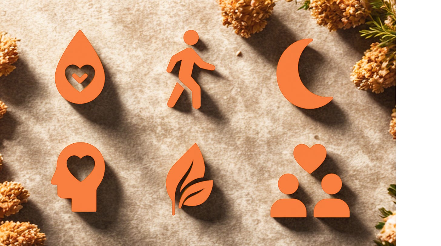 Icons representing the 6 Lifestyle Levers