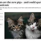 Satanic Powers That Should Not Be Want to MURDER OUR CATS