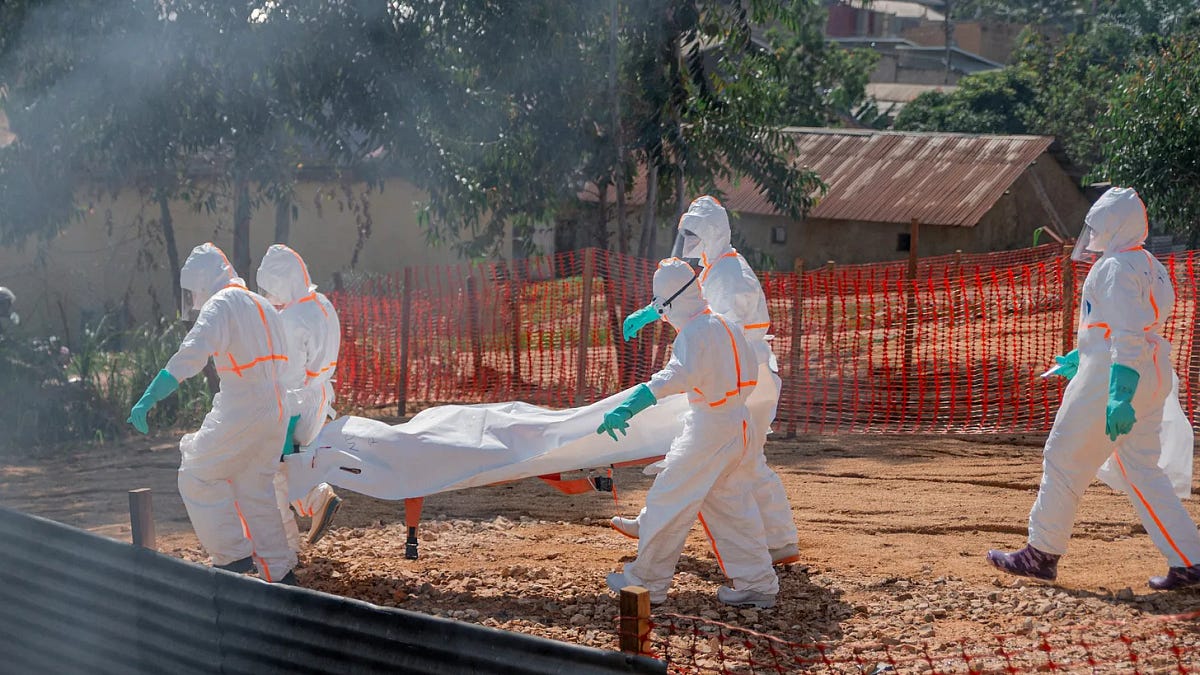 Blame Elon Musk and Donald Trump for the Out-of-Control Ebola Crisis