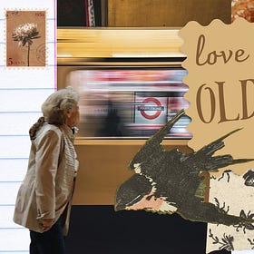 love letter to an old woman on the tube