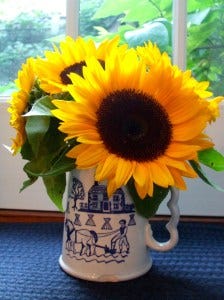 sunflowers sunflowers