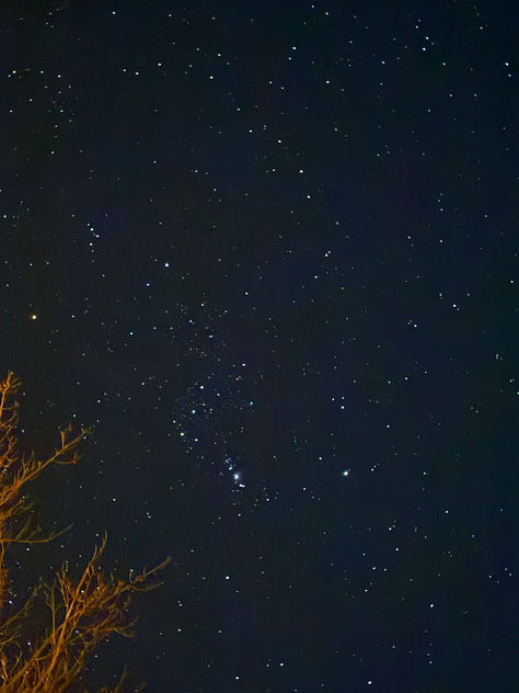 photos of cats, the northern lights, my beautiful birthday cake
