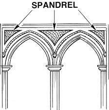 Spandrel (biology) - Wikipedia