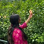 Sadhika Satish's avatar