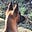 Wittol_Wanderer's avatar