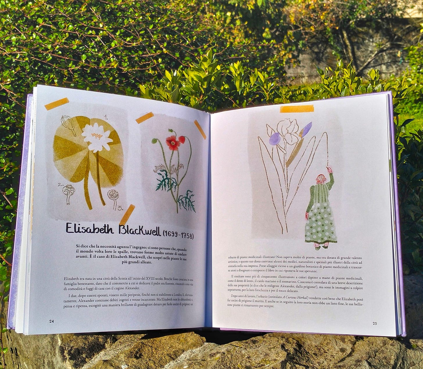 Aina s. Erice, Amanda Mijangos, Viriditas. Le donne nella botanica, Aboca edizioni