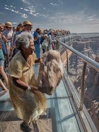 Grandma Drops Rock on Glass Bridge | TikTok