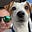 Ollie's avatar