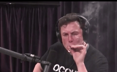 elon musk weed GIF elon musk weed GIF