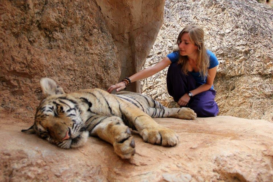 No photo description available.