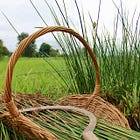 Rushbearing Festival