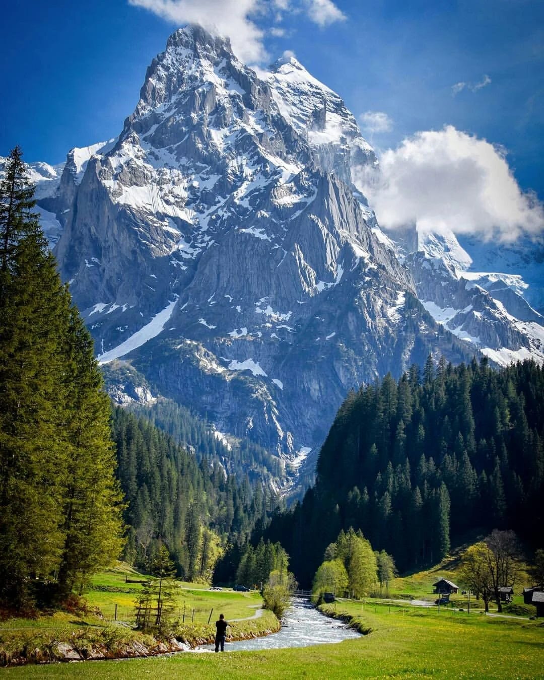 Dramatic snow-capped mountain towering over a lush green valley with a winding stream and pine forests.