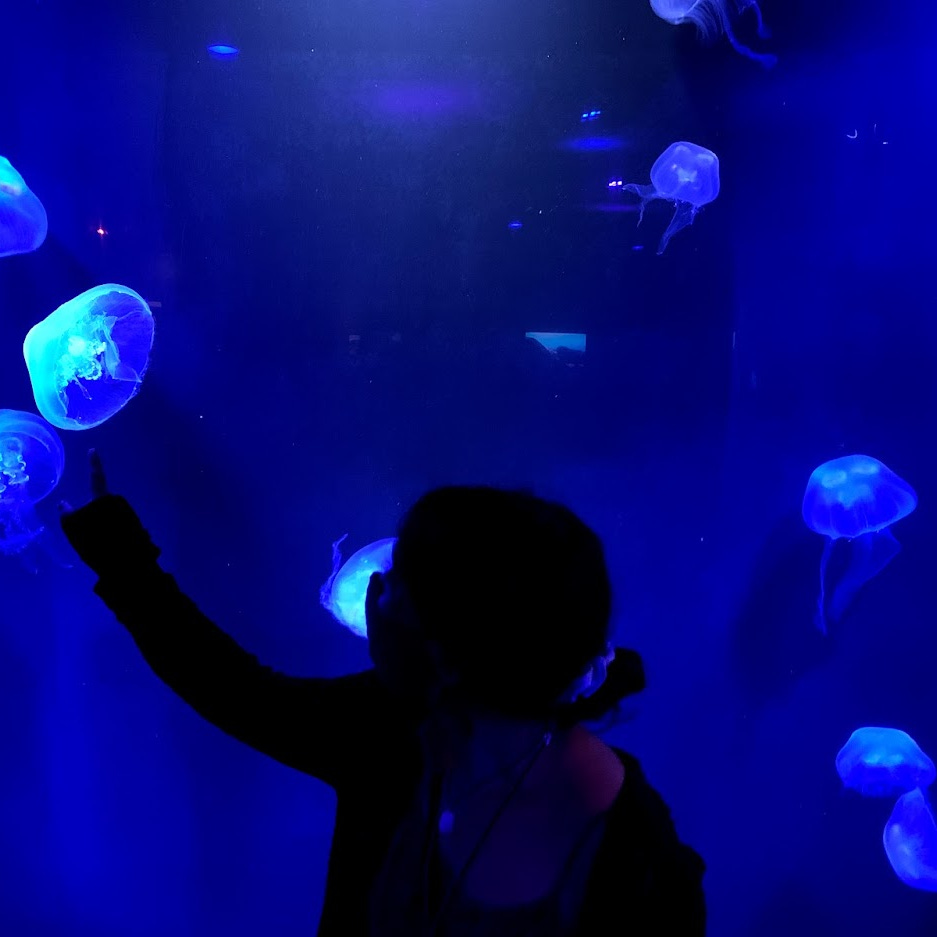 Lalitha’s Substack